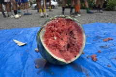 IMG_8557