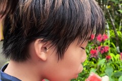 IMG_20260726_140702