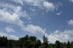 IMG_7141