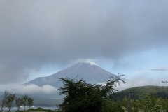IMG_7295